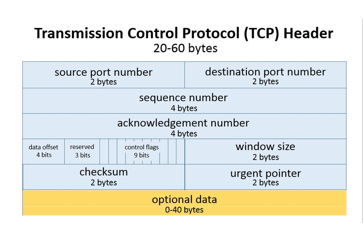 TCP的首部格式